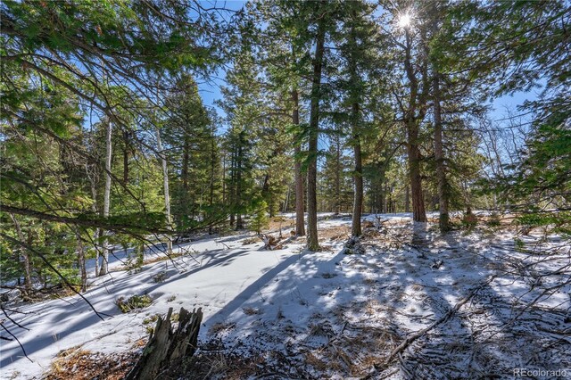 126 Rampart Cir, Florissant, CO 80816