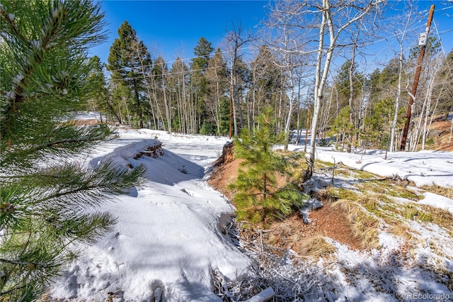126 Rampart Cir, Florissant, CO 80816