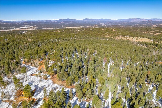 126 Rampart Cir, Florissant, CO 80816