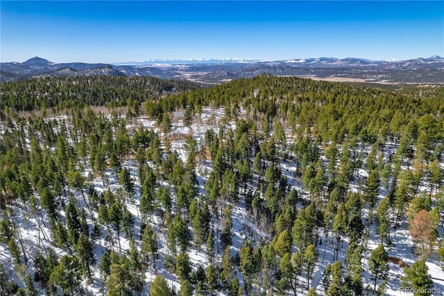 126 Rampart Cir, Florissant, CO 80816