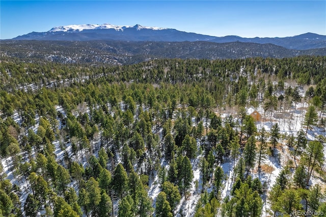 126 Rampart Cir, Florissant, CO 80816