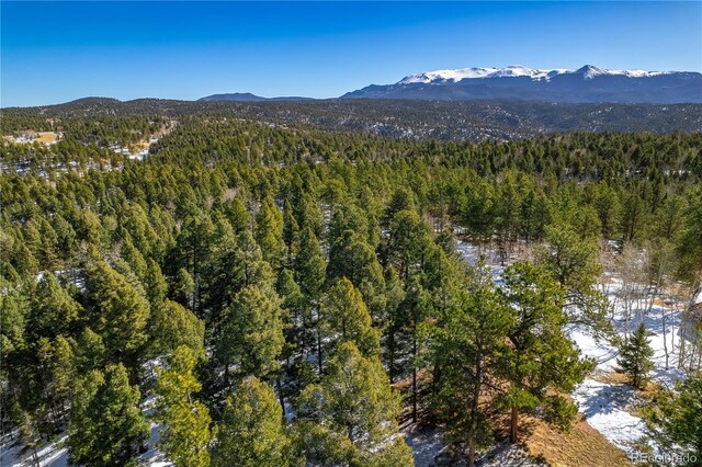126 Rampart Cir, Florissant, CO 80816