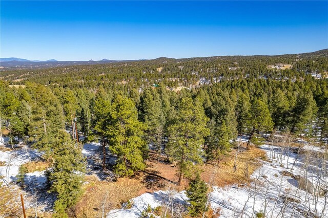 126 Rampart Cir, Florissant, CO 80816