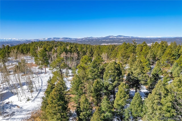 126 Rampart Cir, Florissant, CO 80816