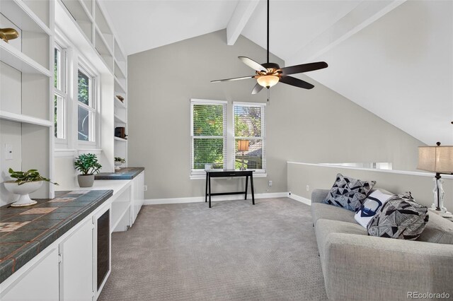 11245 San Joaquin Rdg, Littleton, CO 80127 - photo 15