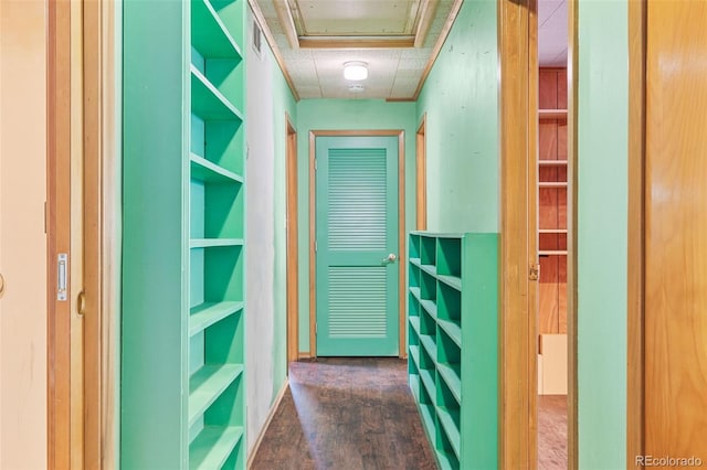 spacious closet with dark hardwood / wood-style flooring