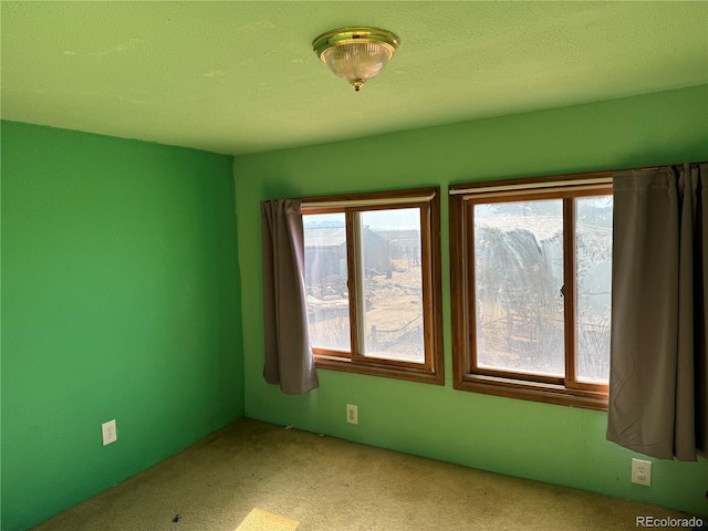 unfurnished room featuring light carpet