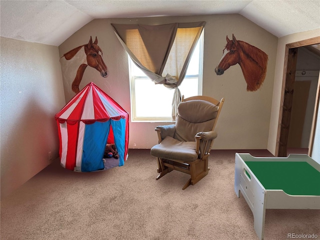 playroom with lofted ceiling, a textured ceiling, and carpet