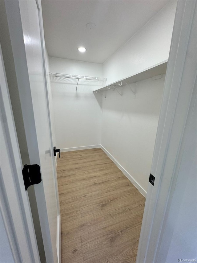 17361 E Mansfield Ave Unit 521R, Aurora, CO 80013 - walk in closet with light wood-type flooring