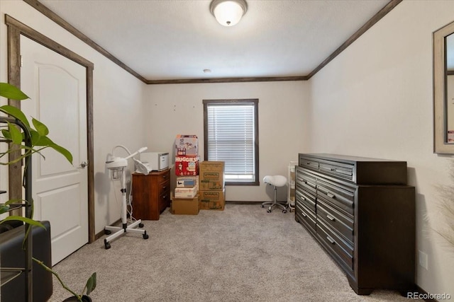 interior space featuring carpet, baseboards, and crown molding