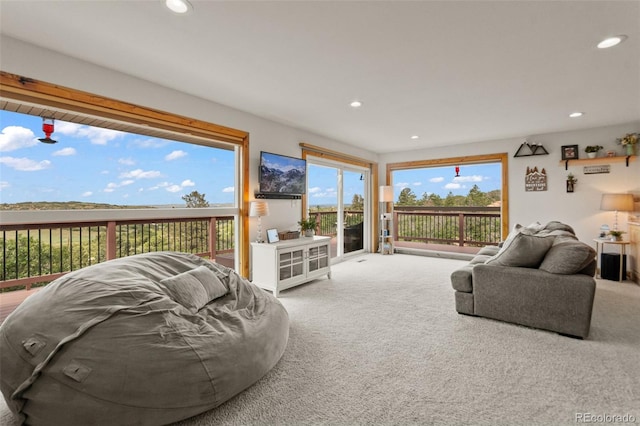 1380 Oak Valley Rd, Sedalia, CO 80135 - living room featuring carpet flooring and recessed lighting