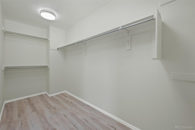 7837 Aravon Ct, Lone Tree, CO 80124 - walk in closet with wood finished floors
