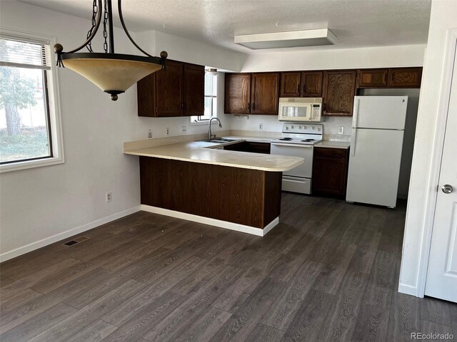 kitchen with hanging light fixtures, dark hardwood / wood-style flooring, white appliances, sink, and dark brown cabinetry