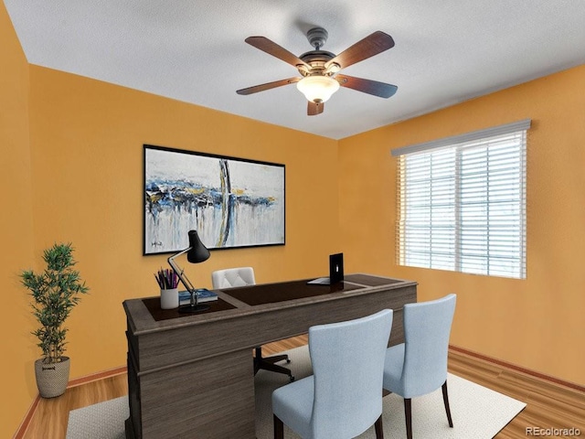 office space featuring light hardwood / wood-style flooring and ceiling fan