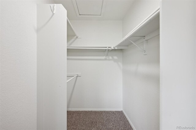 4530 Star Ridge Dr, Colorado Springs, CO 80916 - walk in closet with carpet