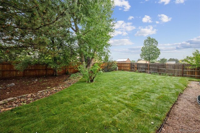 4530 Star Ridge Dr, Colorado Springs, CO 80916 - view of yard