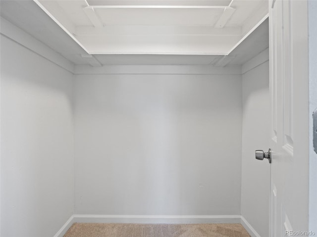 spacious closet with carpet flooring