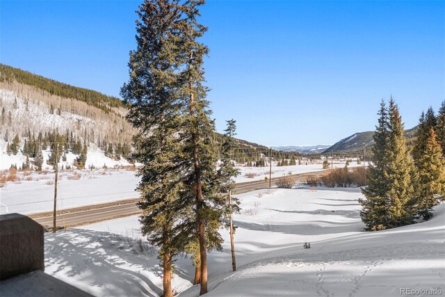 40 Cooney Ct, Blue River, CO 80424 - photo 40