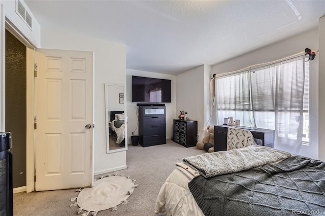 20530 Randolph Pl, Denver, CO 80249 - bedroom featuring carpet flooring