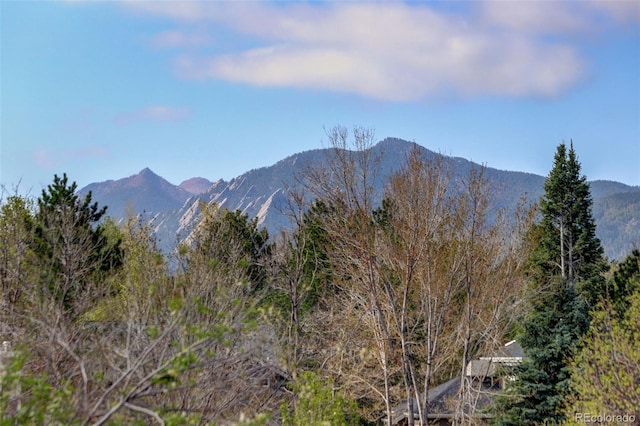1460 Quince Ave Unit 102, Boulder, CO 80304 - view of mountain backdrop