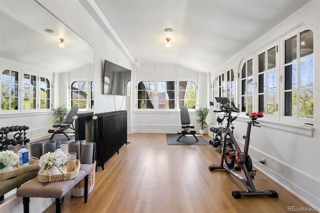 exercise room with lofted ceiling and hardwood / wood-style floors