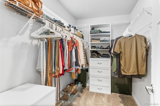 walk in closet with carpet