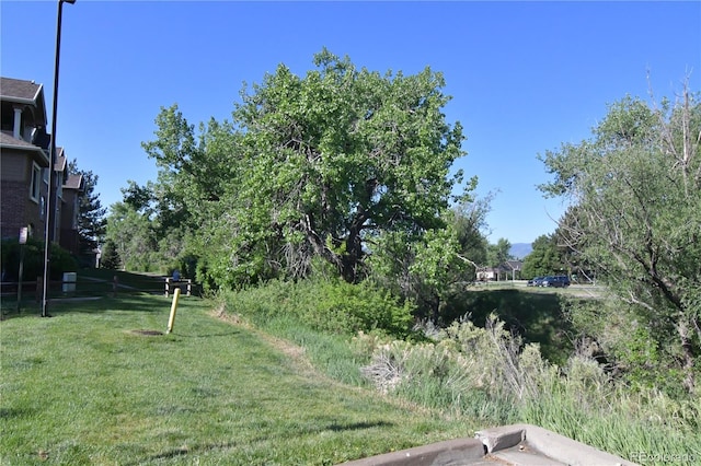 1631 W Canal Cir Unit 832, Littleton, CO 80120 - view of green lawn