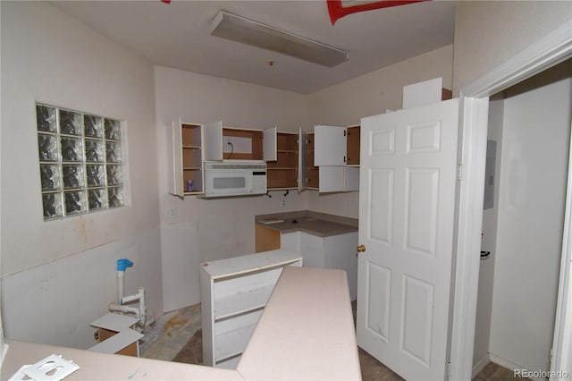 1631 W Canal Cir Unit 832, Littleton, CO 80120 - kitchen with white microwave and electric panel