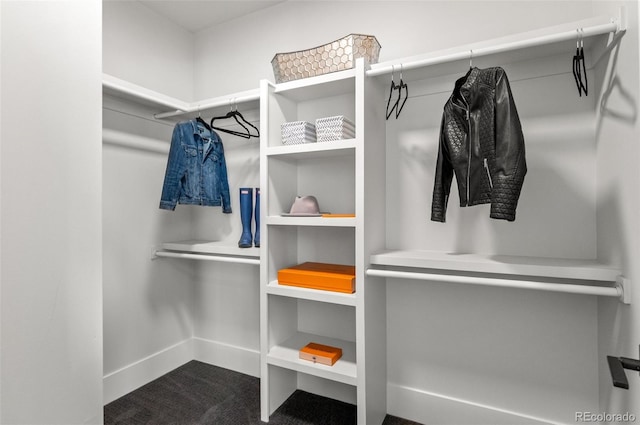 5240 N Raleigh St, Denver, CO 80212 - spacious closet featuring carpet flooring