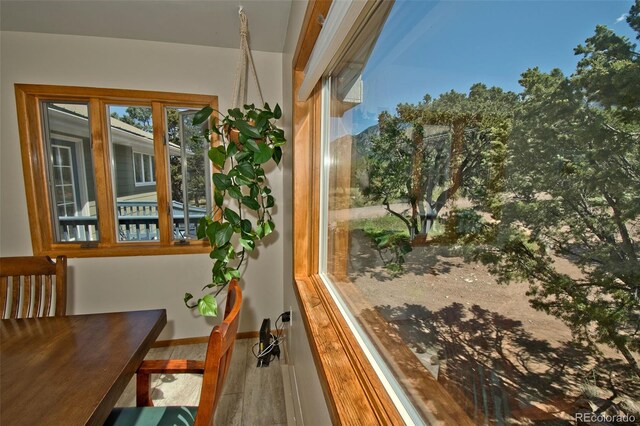 246 Baca Grant Way, Crestone, CO 81131 - interior space