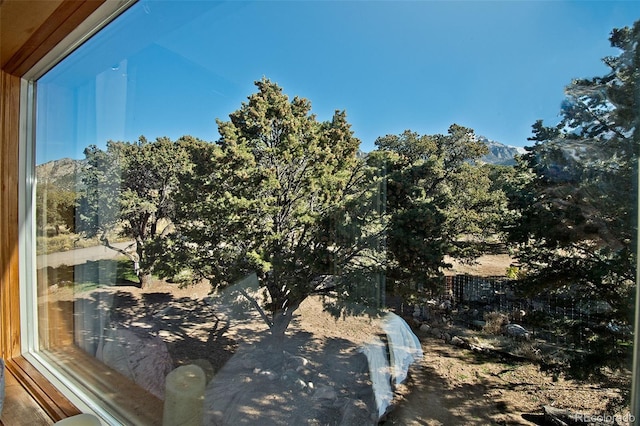 246 Baca Grant Way, Crestone, CO 81131 - exterior space