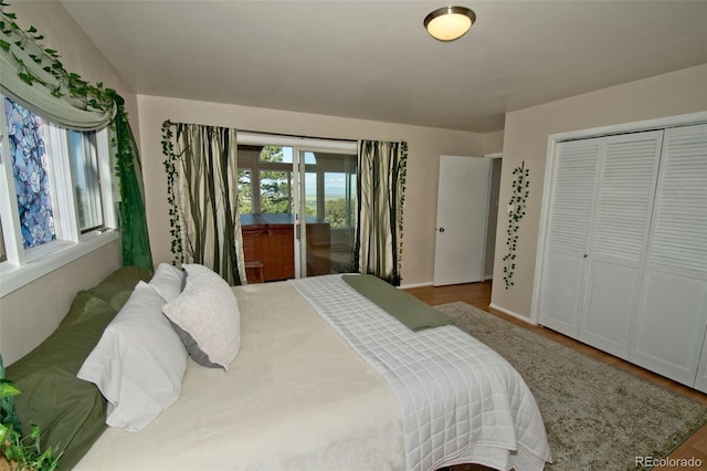 246 Baca Grant Way, Crestone, CO 81131 - bedroom featuring a closet, wood finished floors, access to outside, and baseboards