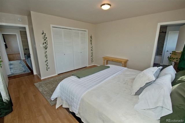 246 Baca Grant Way, Crestone, CO 81131 - bedroom featuring a closet and wood finished floors