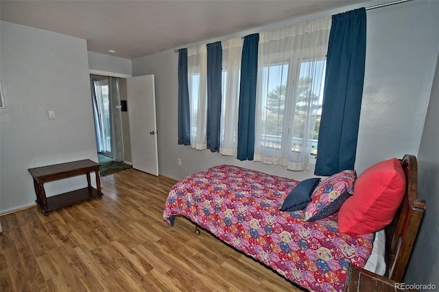246 Baca Grant Way, Crestone, CO 81131 - bedroom featuring wood finished floors