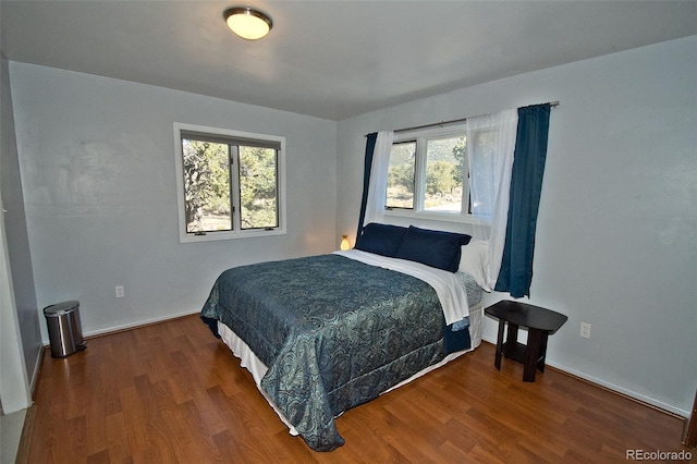 246 Baca Grant Way, Crestone, CO 81131 - bedroom with multiple windows, wood finished floors, and baseboards