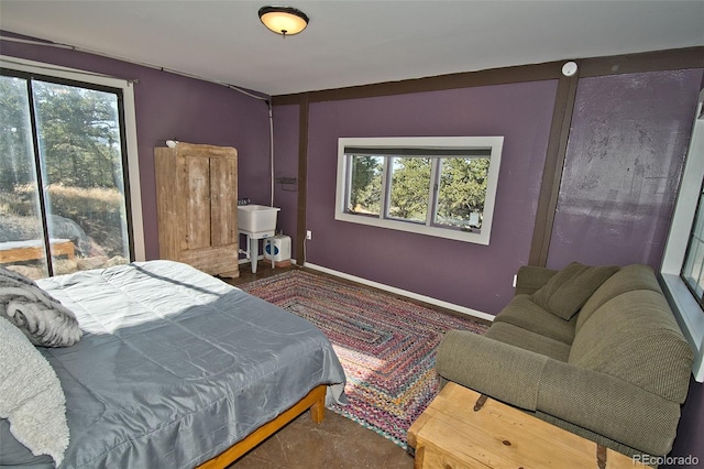 246 Baca Grant Way, Crestone, CO 81131 - bedroom featuring baseboards