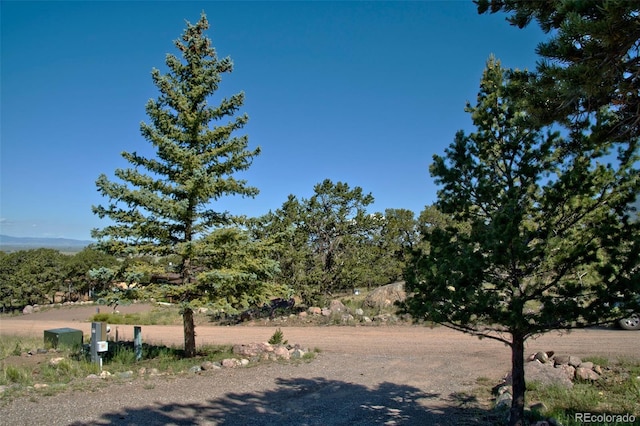246 Baca Grant Way, Crestone, CO 81131 - exterior space