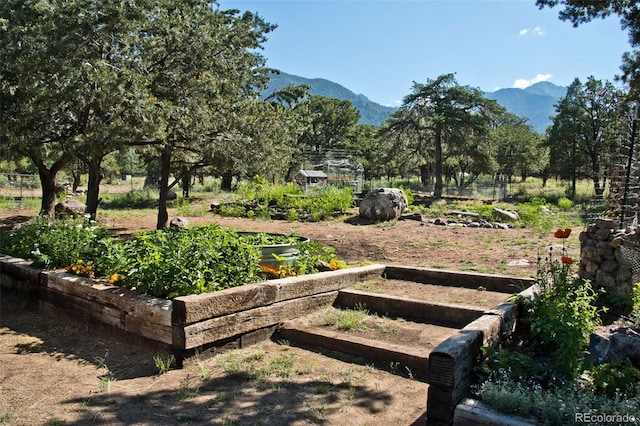 246 Baca Grant Way, Crestone, CO 81131 - view of yard featuring a mountain view and a garden