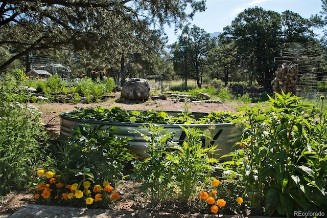246 Baca Grant Way, Crestone, CO 81131 - view of yard with a vegetable garden