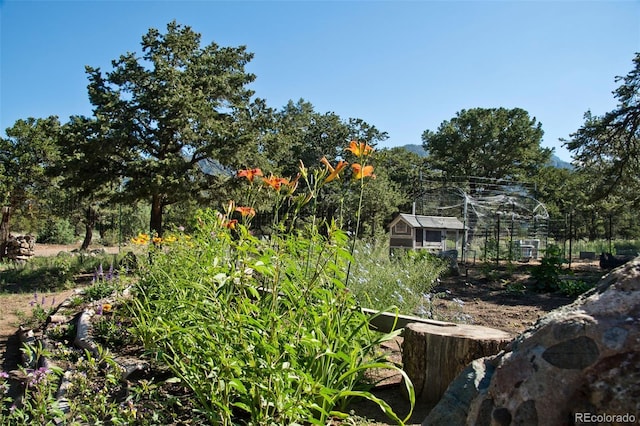 246 Baca Grant Way, Crestone, CO 81131 - view of yard featuring a garden