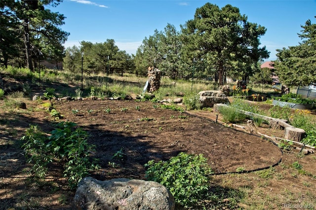 246 Baca Grant Way, Crestone, CO 81131 - view of yard with a garden