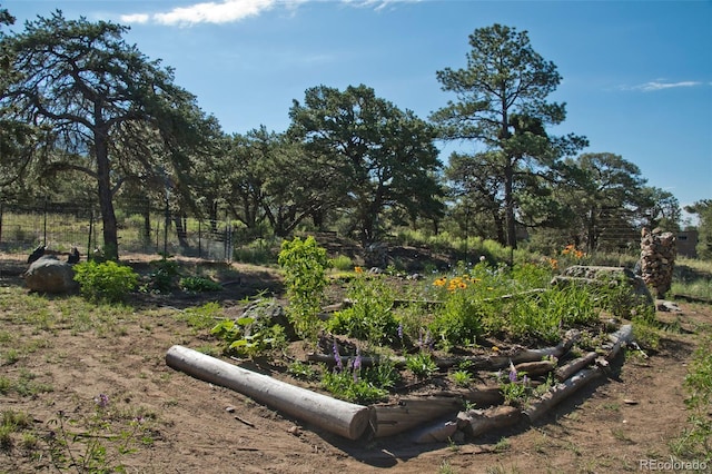 246 Baca Grant Way, Crestone, CO 81131 - view of landscape