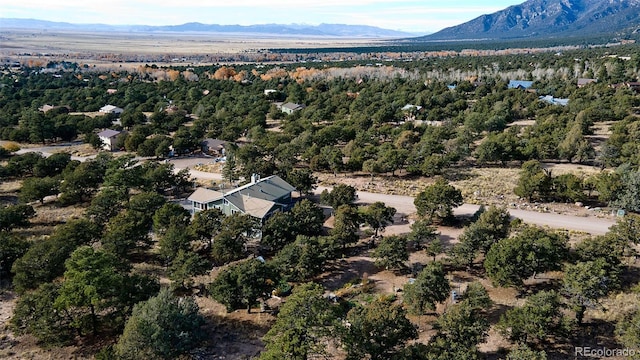 246 Baca Grant Way, Crestone, CO 81131 - drone / aerial view featuring a mountain view