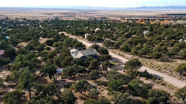 246 Baca Grant Way, Crestone, CO 81131 - drone / aerial view