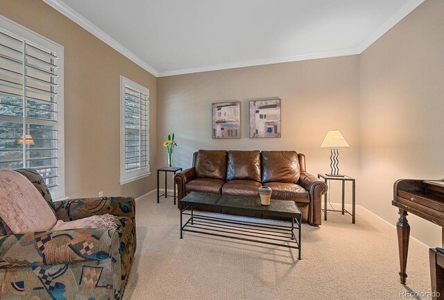 6074 S Sedalia Ct, Aurora, CO 80016 - photo 5