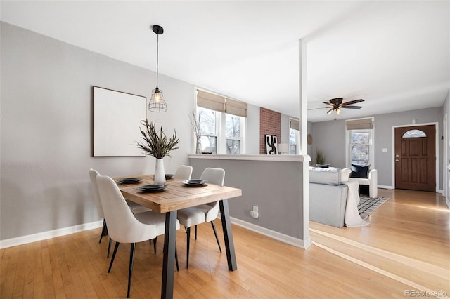 dining area with ceiling fan and light wood-type flooring