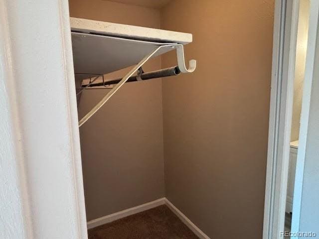 view of walk in closet