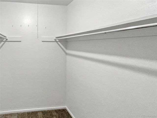 spacious closet featuring carpet