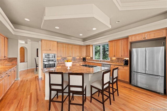 kitchen featuring a tray ceiling, light stone countertops, appliances with stainless steel finishes, and a kitchen island