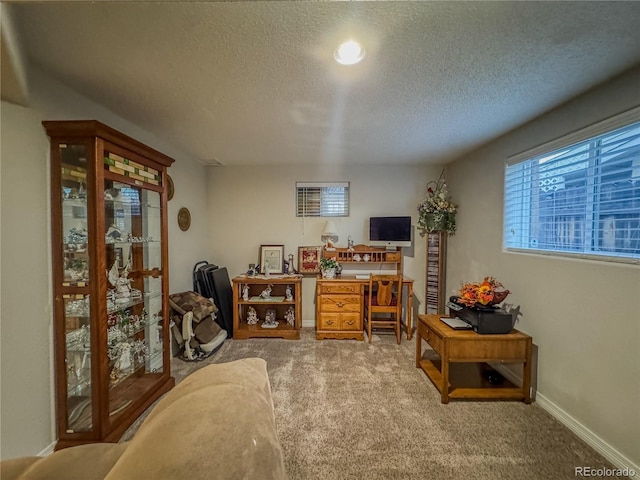 carpeted home office with baseboards and a textured ceiling